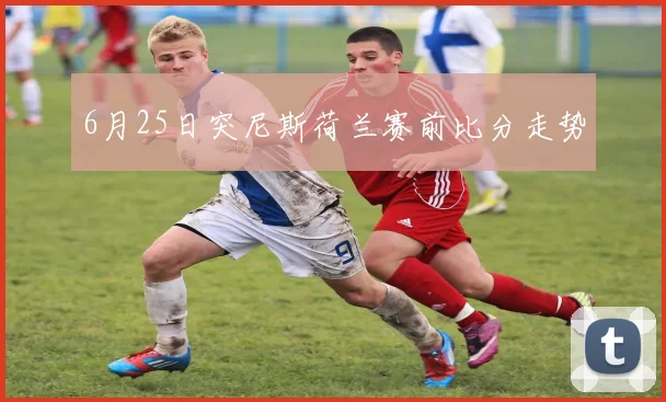6月25日突尼斯荷兰赛前比分走势