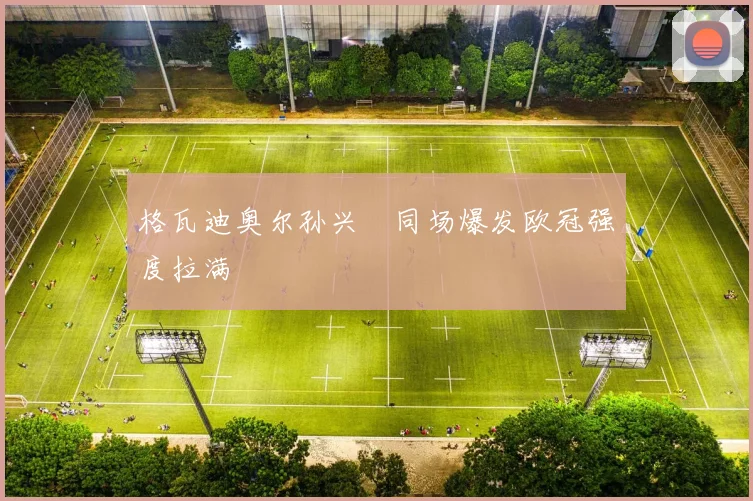 格瓦迪奥尔孙兴慜同场爆发欧冠强度拉满