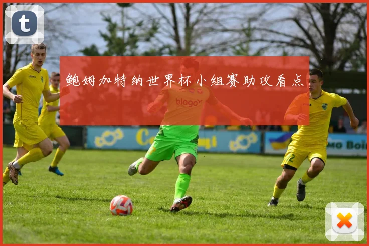 鲍姆加特纳世界杯小组赛助攻看点