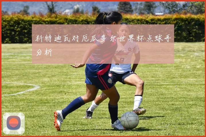 科特迪瓦对厄瓜多尔世界杯点球手分析