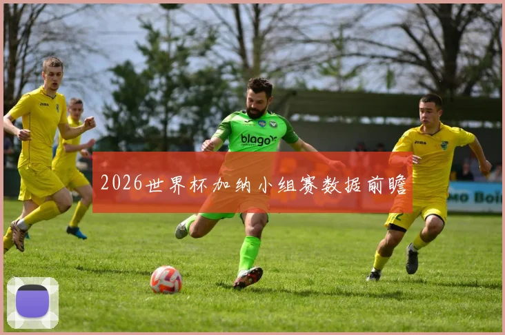 2026世界杯加纳小组赛数据前瞻
