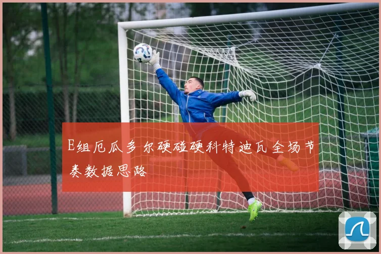 E组厄瓜多尔硬碰硬科特迪瓦全场节奏数据思路