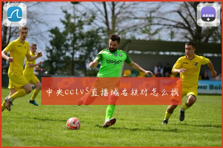 中央cctv5直播域名核对怎么找