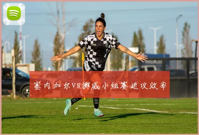 塞内加尔vs挪威小组赛进攻效率