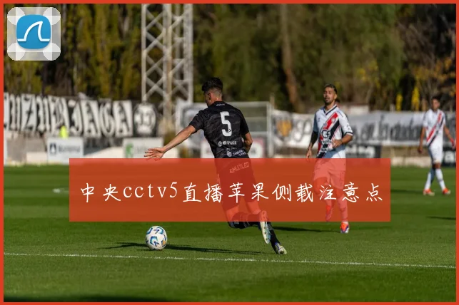 中央cctv5直播苹果侧载注意点