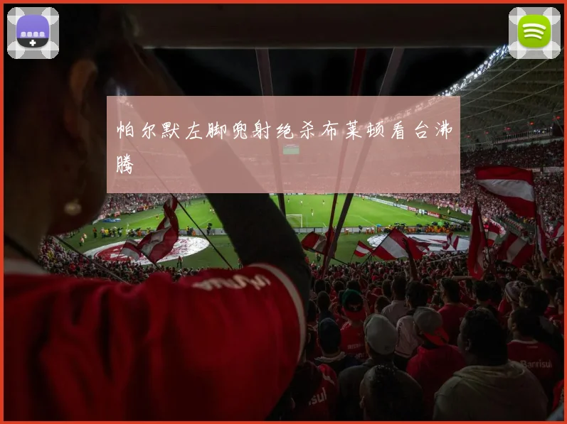 帕尔默左脚兜射绝杀布莱顿看台沸腾