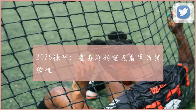 2026德甲：霍芬海姆重点看黑马持续性