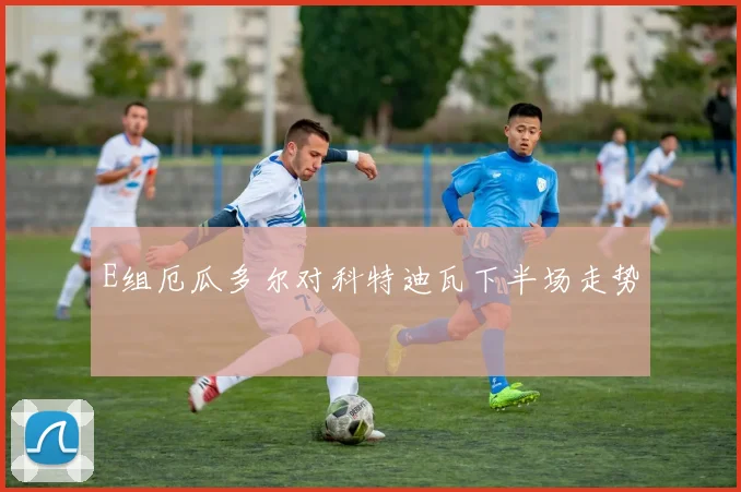 E组厄瓜多尔对科特迪瓦下半场走势