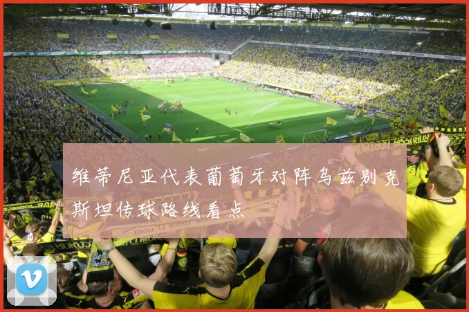 维蒂尼亚代表葡萄牙对阵乌兹别克斯坦传球路线看点