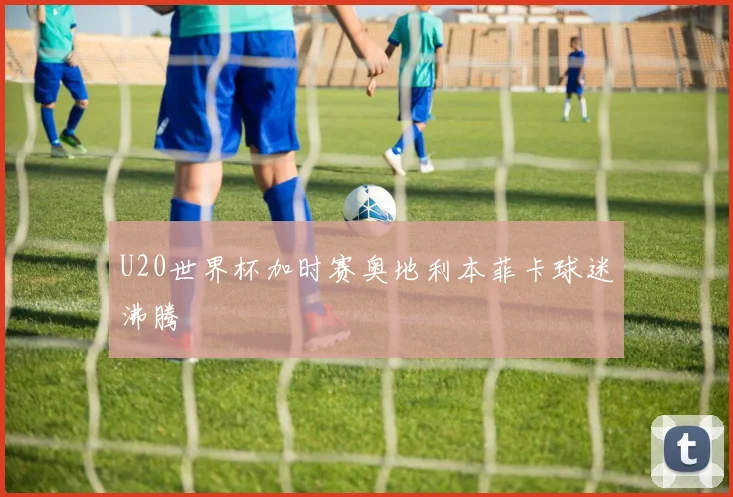 U20世界杯加时赛奥地利本菲卡球迷沸腾
